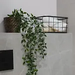 Apartment Falista Retkinia *