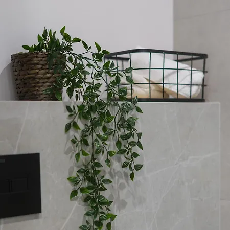 Apartment Falista Retkinia *