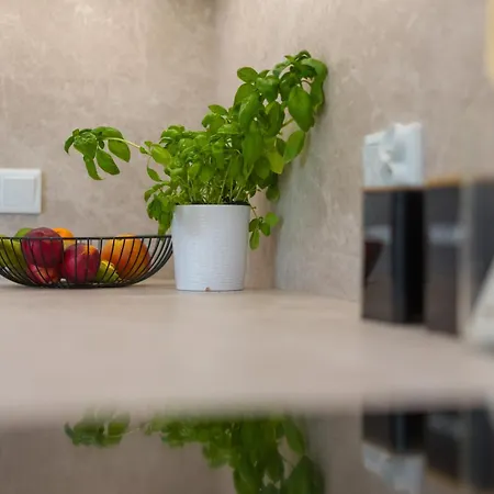 Falista Retkinia Łódź