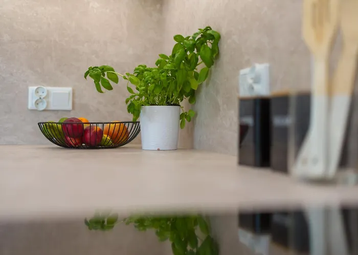 Falista Retkinia Łódź